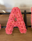 Letters