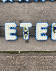 Letters