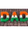 India Flag Letters