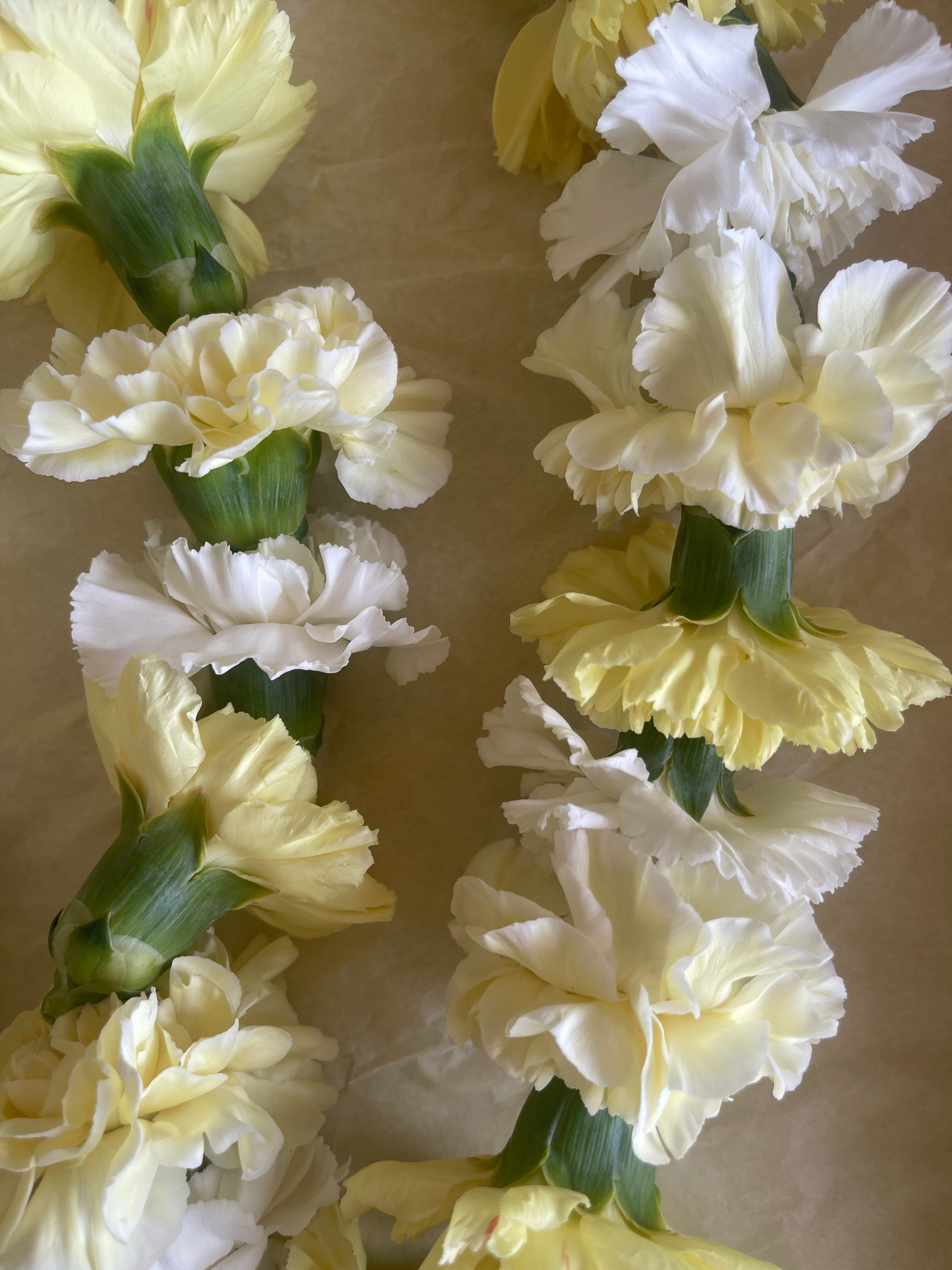 Garland