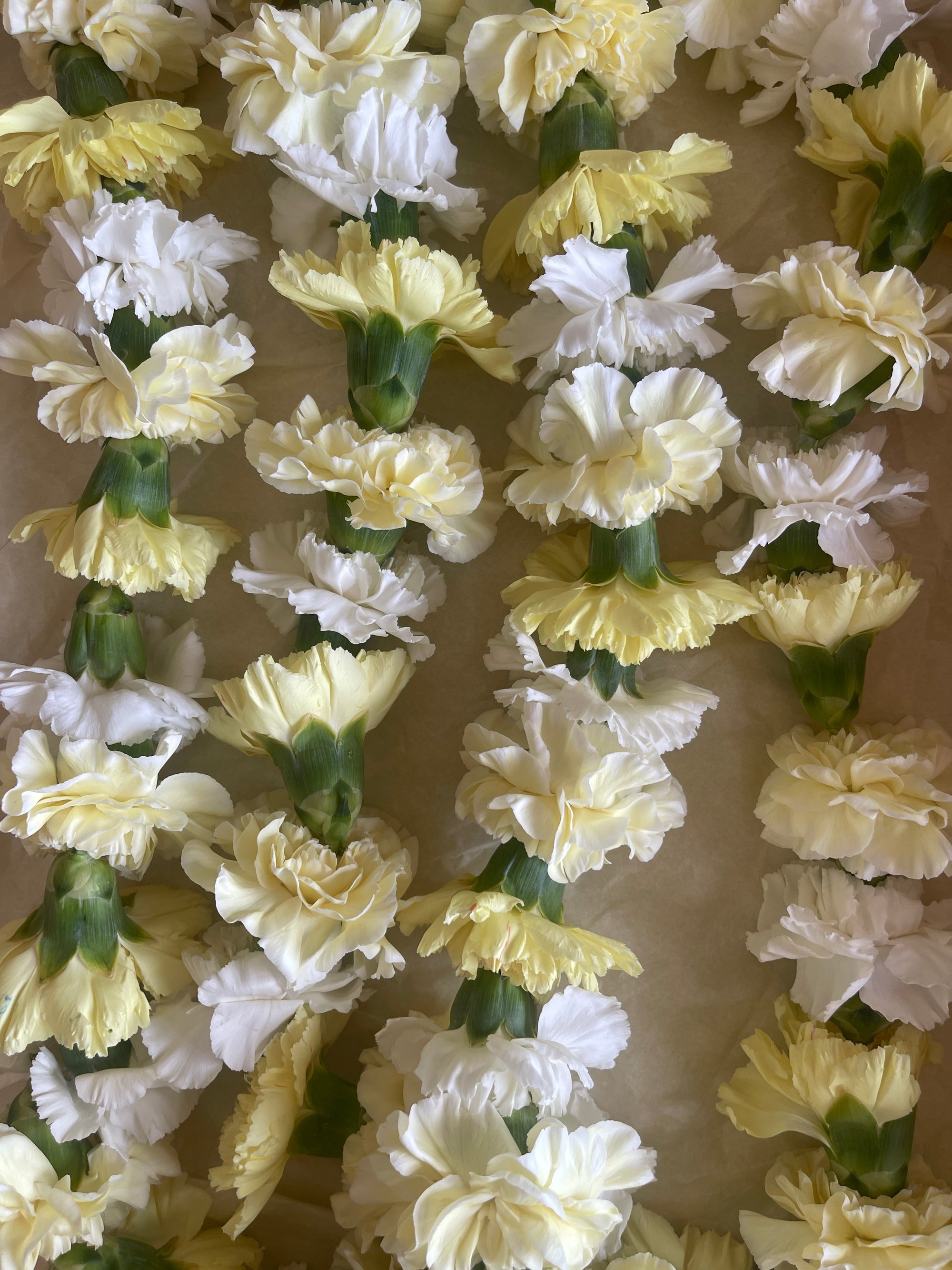 Garland