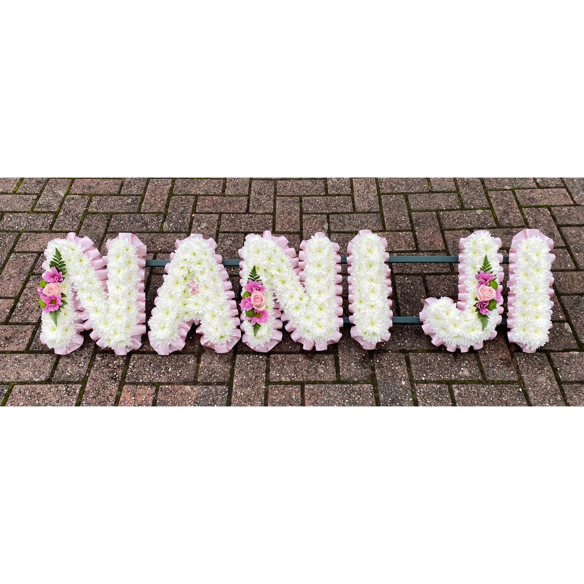 NANI JI