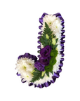 Purple Ribbon