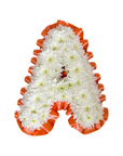 Orange Ribbon