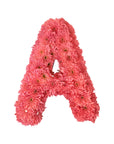Pink Letter